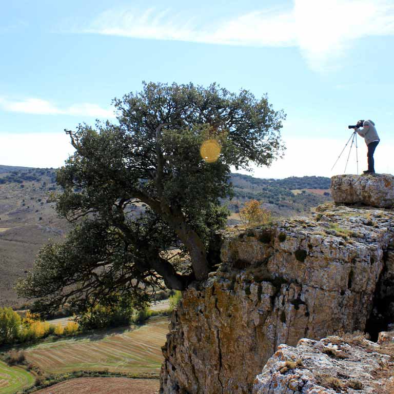 Cazando paisajes en el Camino del Cid / ALC. Cazando paisajes en el Camino del Cid / ALC.