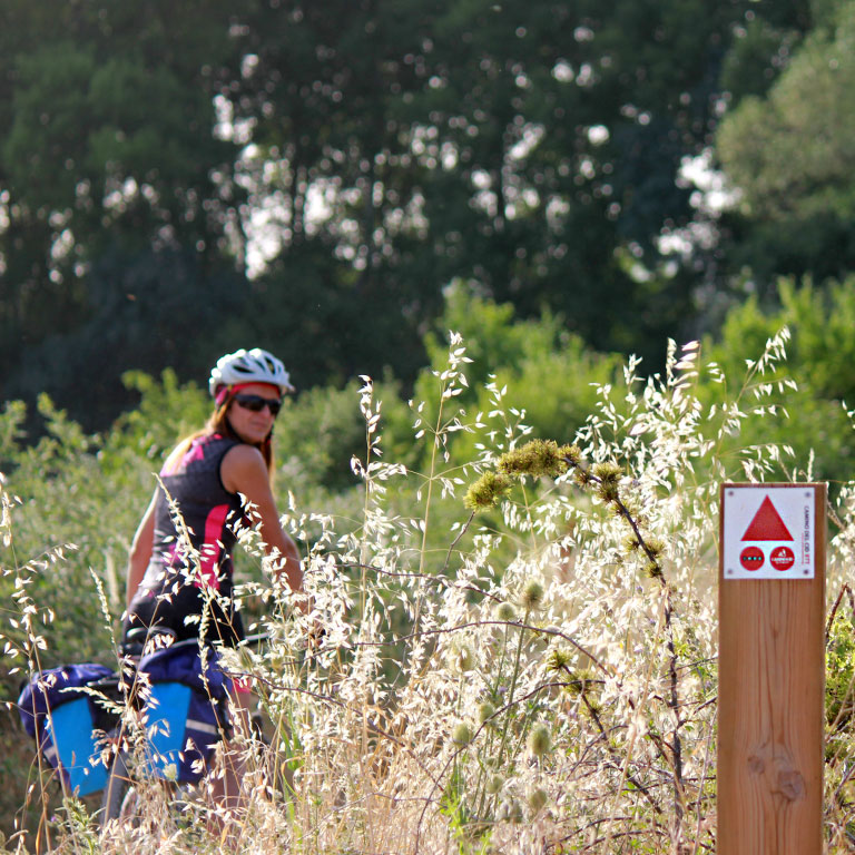 Las balizas con señalización BTT - MTB se encuentran en los tramos en los que la ruta de bici se separa de la senderista / ALC. Las balizas con señalización BTT - MTB se encuentran en los tramos en los que la ruta de bici se separa de la senderista / ALC.