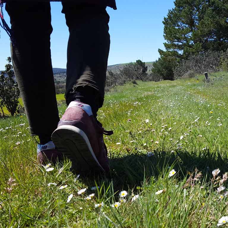 Las rutas senderistas del Camino del Cid atraviesan una España rural y poco conocida / ALC. Las rutas senderistas del Camino del Cid atraviesan una España rural y poco conocida / ALC.
