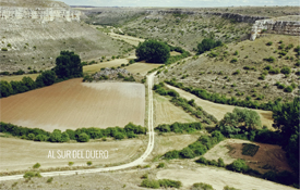 Al Sur del Duero, por Gontzal Largo Al Sur del Duero, por Gontzal Largo