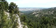 Vistas desde el paraje natural de la Virgen del Monte, cerca de Castillejo de Robledo, donde algunos autores ubican el episodio de la Afrenta de Corpes, en la provincia de Soria / ALC.