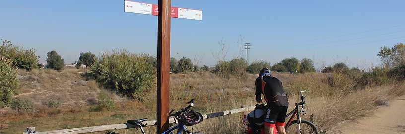 Camino de Sedaví, Valencia / ALC.