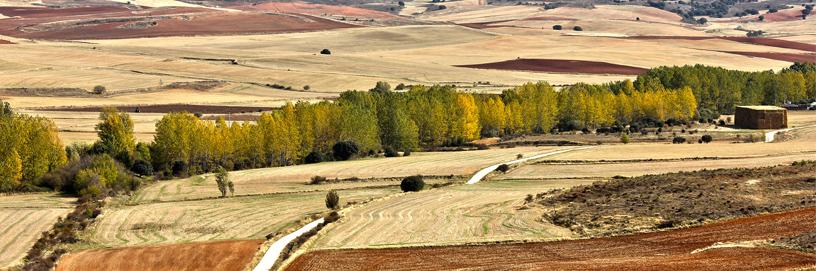 Los Ausines, Burgos.
